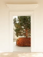 Céleste Boursier-Mougenot在威尼斯艺术双年展上构建活力森林