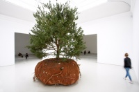 Céleste Boursier-Mougenot在威尼斯艺术双年展上构建活力森林