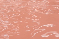 pamela rosenkranz用非物质元素装点2015年威尼斯双年展的瑞士馆