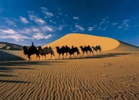 【Sandy环保日记】我瞥见那一抹绿