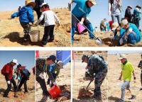 【Sandy环保日记】我瞥见那一抹绿