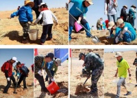 2015梭梭春种活动完美收官