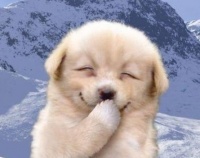 为什么俄罗斯人都喜欢来中国生活？