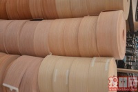 百年天天经典6系6302“北欧之韵”实木复合门测评