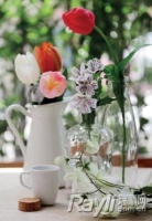 玻璃瓶别丢！用来养花草就是漂亮的微缩景观