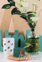 玻璃瓶别丢！用来养花草就是漂亮的微缩景观