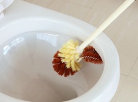 警惕病菌传播 马桶使用保养注意事项