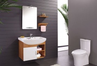 警惕病菌传播 马桶使用保养注意事项