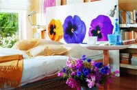 8个卧室细节小调整 带给你大惊喜