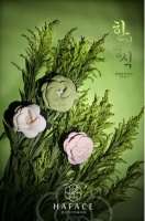 HAFACE春日投下一枚枚浪漫的“鲜花炸弹”