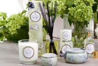 好莱坞女星房间里的秘密