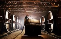 视、听、嗅、味、触品味之酒窖 ----普瑞卡家居