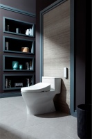 TOTO 2015卫浴展新品推荐