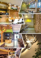 傲胜地板原生设计系列访谈 绍斌：木色可餐