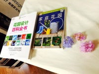 “花痴”来成都 丸子小姐的花园下午茶