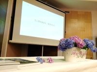 “花痴”来成都 丸子小姐的花园下午茶