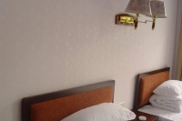 液体壁纸选购指南