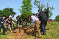 516 我要绿，大自然昨在美国华盛顿种树