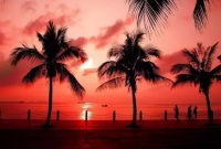 互联网+ 开启海南富力湾非凡旅居新体验