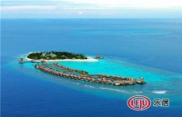 新南悦陶瓷：别让爱再等待，show出全家福