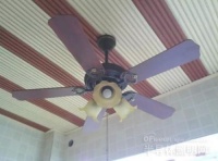 夏天来了 这些风扇灯的知识你知道吗？