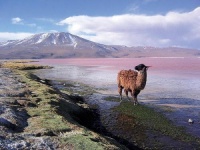 巅峰之作的高尔夫球场，你征服过几个？