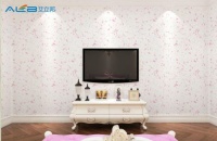 家居装修就用艾立邦-3D彩粒漆