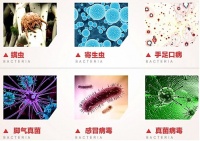 雪莱特紫外线消毒呵护宝宝健康