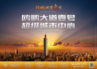 “鸥鹏大道壹号”5·20重庆解放碑送“爱情”