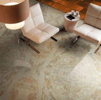 热带雨林系列：致那回不去的青葱年少