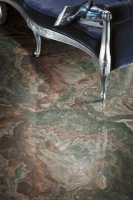 热带雨林系列：致那回不去的青葱年少