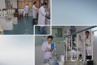 兔宝宝地板——E1退出历史舞台，升级不升价