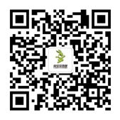 兔宝宝地板——E1退出历史舞台，升级不升价