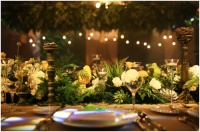 Harbor House春夏潮流新品 雅致•灵动