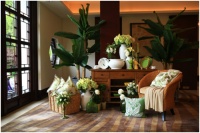 Harbor House春夏潮流新品 雅致•灵动