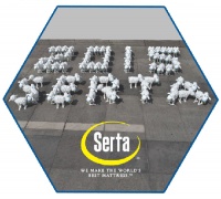 寻找“幸运羊”为舒达羊展点赞