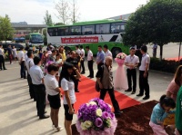 浪度遭遇史上最强疯“抢” 销量突破千万