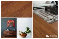 圣象绘写视觉传奇-2015强化地板新品