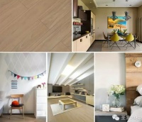 圣象绘写视觉传奇-2015强化地板新品