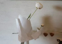 天津设计周五大看点 小浪卖萌嗨翻天