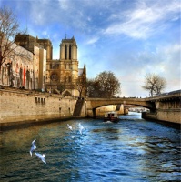 贝尔地板陪你听塞纳河的心跳 择一城终老