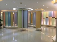 你家离豪宅风格只一个爱丽达3D艺术涂料距离