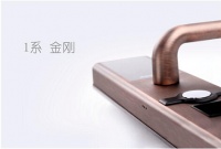 颜值爆表 永康门博会因特指纹锁点评