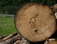 IBF全品新增合伙商：加拿大LAUZON地板