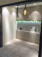 莲城之美 爱由心生—许昌安华瓷砖旗舰店