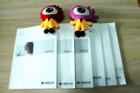 “真言2015”之美景张华春：2015“没那么简单”