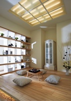 9类吊顶采光+隔断全能型设计