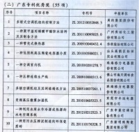 新明珠专利工作又获省级大奖