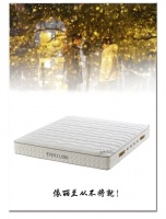 夏装钜惠·席卷古城——依丽兰