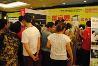 太原乐宜嘉全屋定制“2015夏季大型家居·建材博览会”活动圆满成功